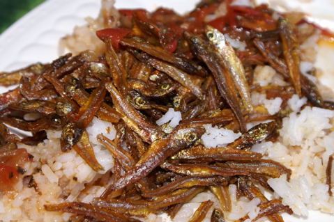 Fish and Rice